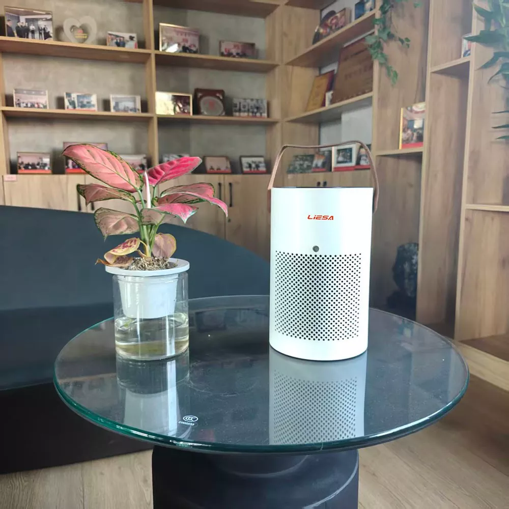 Timer Function Purifier