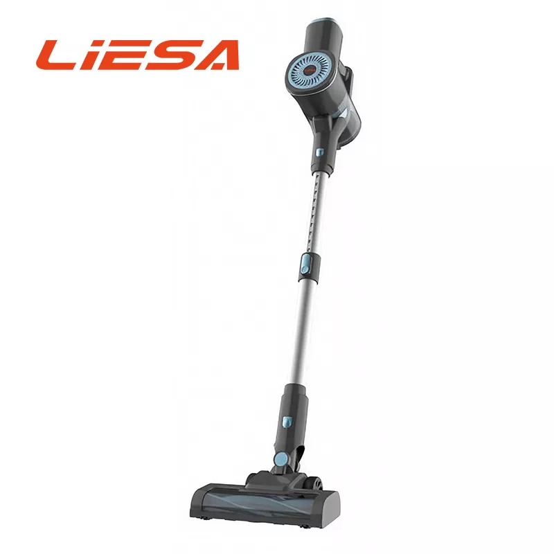 Rechargeable Wireless lignum vacuum;
